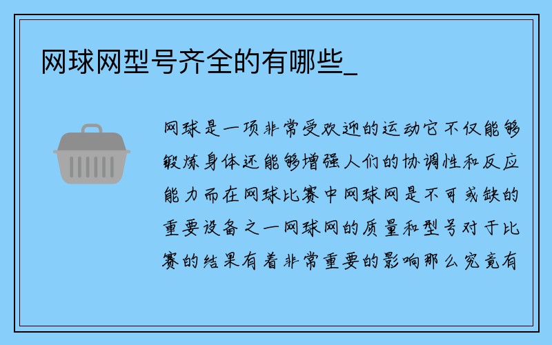 网球网型号齐全的有哪些_