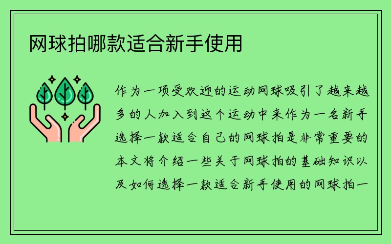 网球拍哪款适合新手使用