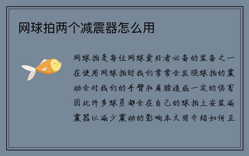 网球拍两个减震器怎么用